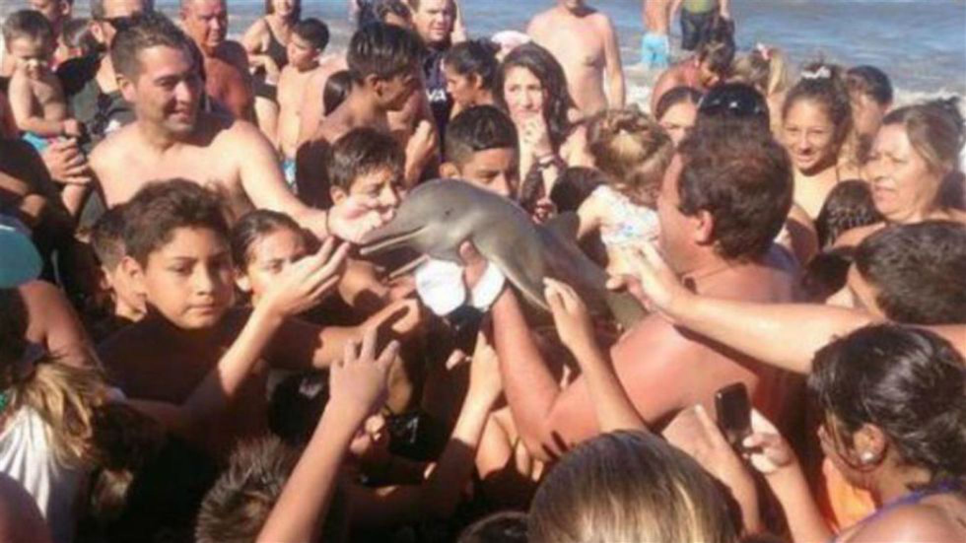 O golfinho que pode ter morrido por desidratação tirando selfie com turistas na Argentina (Reprodução do El País)