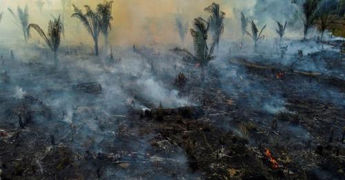 View of a burnt are of the Amazonia rainforest in Apui, southern Amazonas State, Brazil, on September 21, 2022. - According to the National Institute for Space Research (INPE), hotspots in the Amazon region saw a record increase in the first half of September, being the average for the month 1,400 fires per day. MICHAEL DANTAS-AFP (Reprodução da Time)