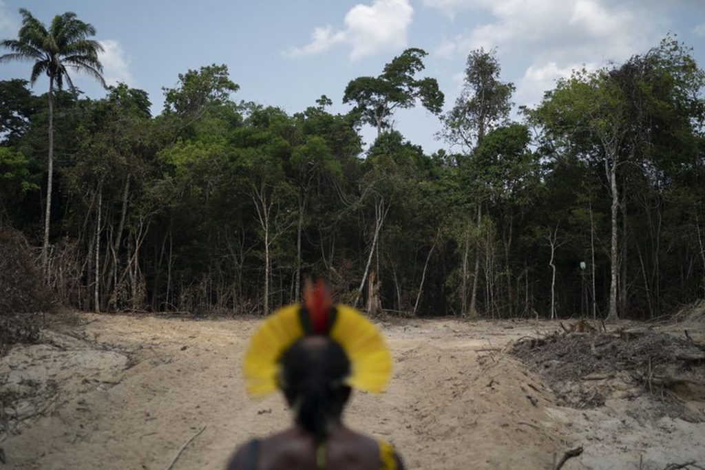 El jefe Kadjyre, de la etnia Kayapó, mira un sendero abierto por taladores en la Amazonia brasileña, en agosto de 2019. (Reprodução do EL PAÍS)